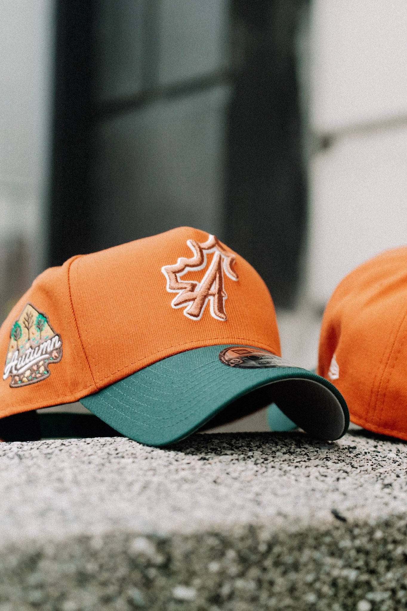 Autumn x capsule hat