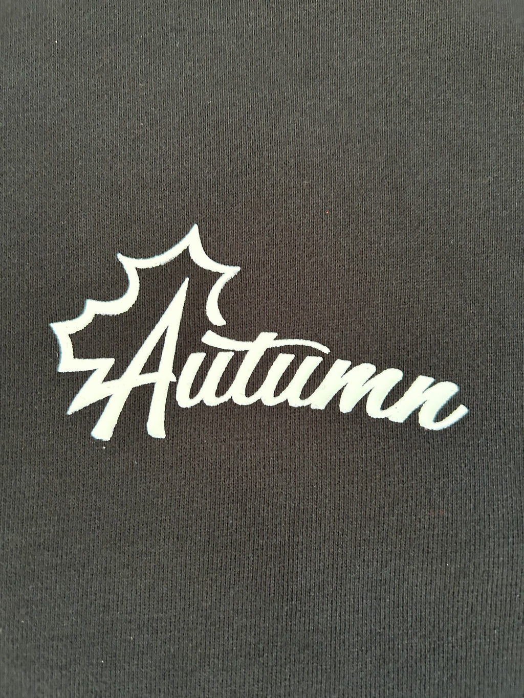 Black/White Autumn Logo Hoodie